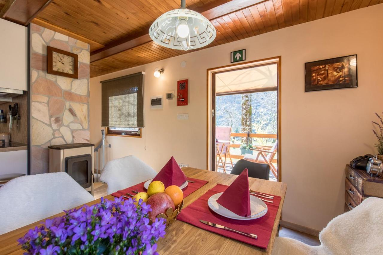 Vila Rozi, Osilnica - Vacation House Pr' Vili Rozi Exteriér fotografie