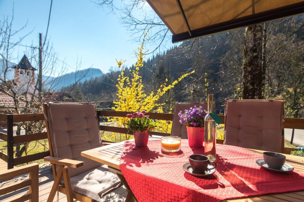 Vila Rozi, Osilnica - Vacation House Pr' Vili Rozi Exteriér fotografie