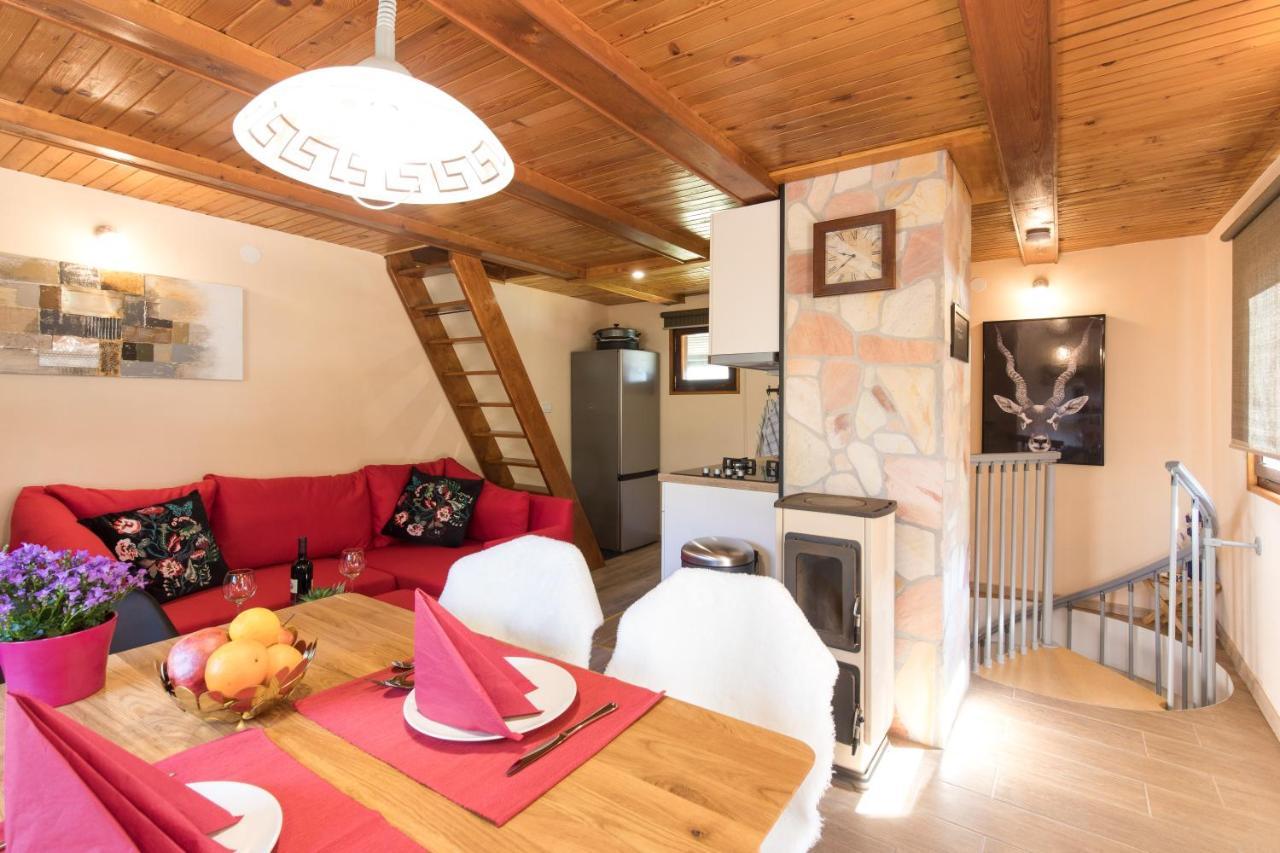 Vila Rozi, Osilnica - Vacation House Pr' Vili Rozi Exteriér fotografie
