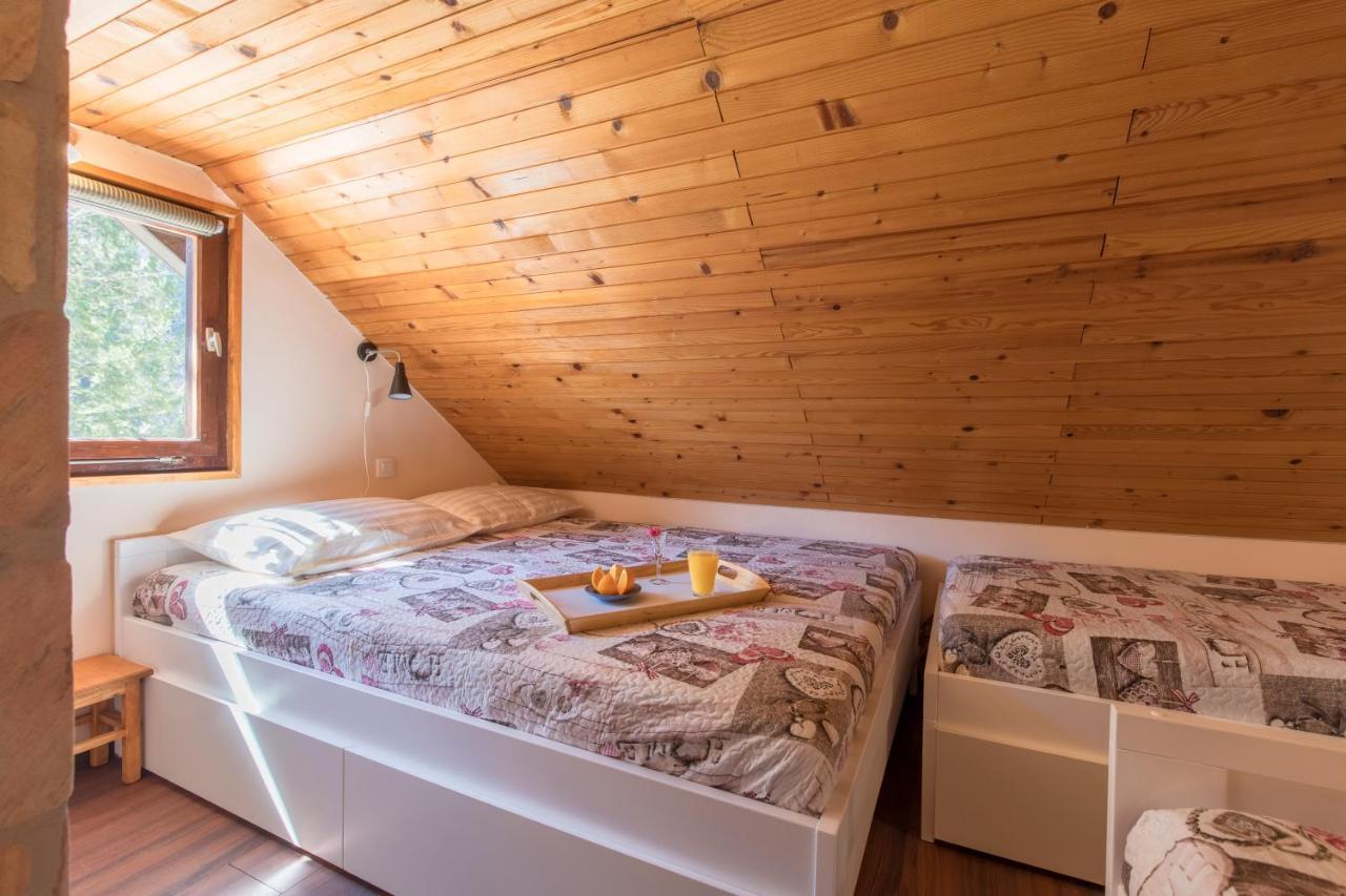 Vila Rozi, Osilnica - Vacation House Pr' Vili Rozi Exteriér fotografie