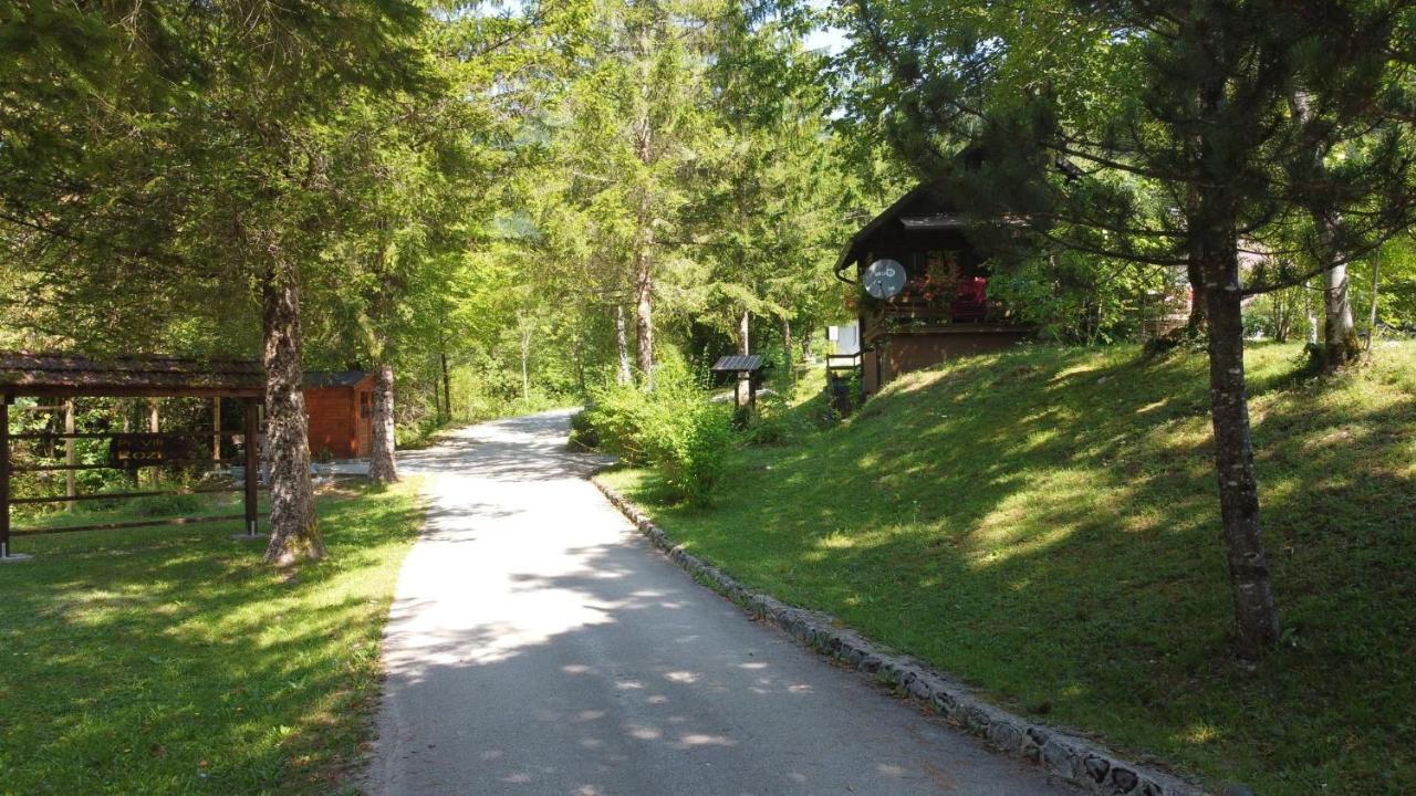 Vila Rozi, Osilnica - Vacation House Pr' Vili Rozi Exteriér fotografie