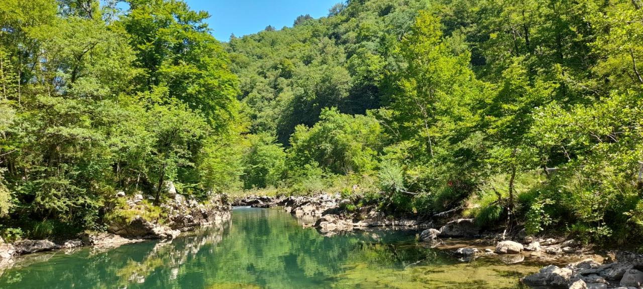 Vila Rozi, Osilnica - Vacation House Pr' Vili Rozi Exteriér fotografie