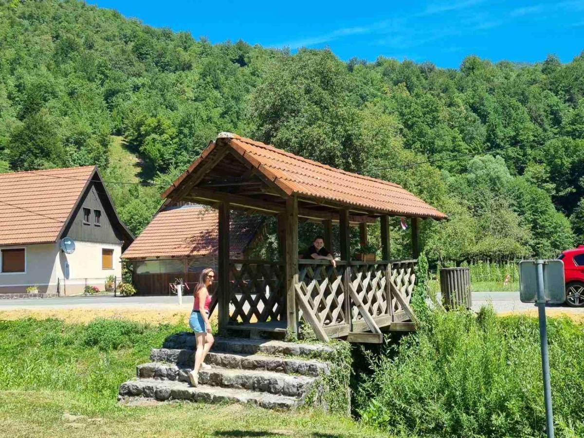 Vila Rozi, Osilnica - Vacation House Pr' Vili Rozi Exteriér fotografie