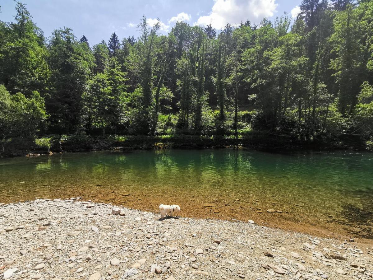 Vila Rozi, Osilnica - Vacation House Pr' Vili Rozi Exteriér fotografie