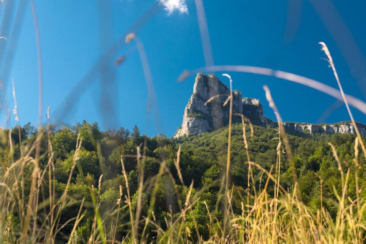 Vila Rozi, Osilnica - Vacation House Pr' Vili Rozi Exteriér fotografie